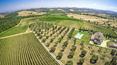 Toscana Immobiliare - Farm with wine production for sale in Siena area Tuscany