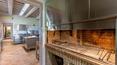 Toscana Immobiliare - Finca vinícola con bodega y casa rural en venta en Toscana Siena