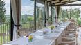 Toscana Immobiliare - Weingut mit Keller und Bauernhaus zu verkaufen in der Toskana Siena