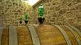 Toscana Immobiliare - Weingut mit Keller und Bauernhaus zu verkaufen in der Toskana Siena