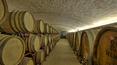 Toscana Immobiliare - Farm with wine production for sale in Siena area Tuscany