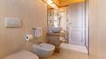 Toscana Immobiliare - Wine estate with cellar and farmhouse for sale in Tuscany Siena