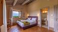 Toscana Immobiliare - Wine estate with cellar and farmhouse for sale in Tuscany Siena