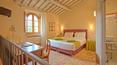 Toscana Immobiliare -