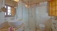 Toscana Immobiliare - Wine estate with cellar and farmhouse for sale in Tuscany Siena