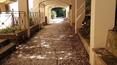 Toscana Immobiliare - Noble villa à vendre en Toscane à Arezzo