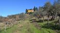 Toscana Immobiliare - Ancient manor house, agricultural annexe and 7 hectares of land for sale in the heart of Chianti