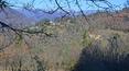 Toscana Immobiliare - Ancien domaine à vendre dans le Chianti Rufina