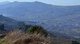Toscana Immobiliare - Antikes Anwesen im Chianti Rufina zu verkaufen