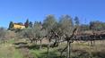 Toscana Immobiliare - Old farm for sale in Chianti Rufina