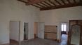 Toscana Immobiliare - Villas and farmhouses for sale in Tuscany