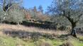 Toscana Immobiliare - Antikes Herrenhaus, landwirtschaftliches Nebengebäude und 7 Hektar Land im Herzen des Chianti zu verkaufen