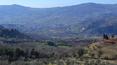 Toscana Immobiliare - Antigua casa solariega, anexo agrícola y 7 hectáreas de terreno en venta en el corazón del Chianti