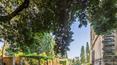 Toscana Immobiliare - Historic villa with breathtaking views over the Tuscan hills