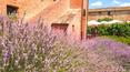 Toscana Immobiliare - Luxusrelais mit Teil der Leopoldina-Villa und Schwimmbad in der Provinz Siena
