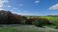Toscana Immobiliare - Luxury real estate in the province of Arezzo