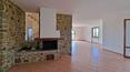 Toscana Immobiliare - Villas and farmhouses in Tuscany