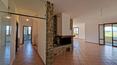 Toscana Immobiliare - Villas y casas rurales en Toscana