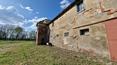 Toscana Immobiliare - Zu restaurierendes Bauernhaus aus dem Jahr 1800 mit Nebengebäuden und 1 Hektar Land in Foiano della Chiana zu verkaufen