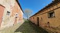 Toscana Immobiliare - Ferme des années 1800 à restaurer avec annexes et 1 hectare de terrain à vendre à Foiano della Chiana