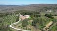 Toscana Immobiliare - hamlet estate for sale Tuscany Siena