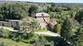 Toscana Immobiliare - hamlet estate for sale Tuscany Siena