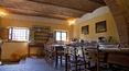 Toscana Immobiliare -