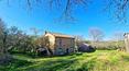 Toscana Immobiliare - Zu renovierendes Bauernhaus mit Panoramablick zu verkaufen in der Nähe des charmanten mittelalterlichen Dorfes Monticchiello, im Herzen der Hügel von Siena
