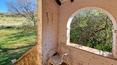 Toscana Immobiliare - Ville e casali in vendita in Val d'Orcia