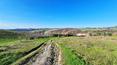 Toscana Immobiliare - Farmhouse in need of renovation with views of the Val d'Orcia