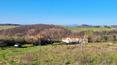 Toscana Immobiliare - Panoramahof mit Nebengebäuden und 6,5 ha Land zu verkaufen in der Nähe von Monticchiello, im Herzen des Val d'Orcia, Toskana
