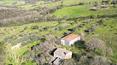 Toscana Immobiliare - Villas et agritourismes en vente dans le Val d'Orcia