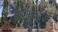 Toscana Immobiliare -