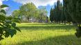 Toscana Immobiliare - Large Tuscan estate for sale in the province of Siena, Sinalunga