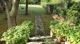 Toscana Immobiliare - Small Tuscan hamlet for sale in the province of Siena The property provides some outbuildings and a gorgeous park