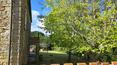 Toscana Immobiliare - Small Tuscan hamlet for sale in the province of Siena The property provides some outbuildings and a gorgeous park