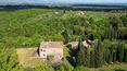 Toscana Immobiliare - Large Tuscan estate for sale in the province of Siena, Sinalunga