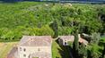 Toscana Immobiliare - Large Tuscan estate for sale in the province of Siena, Sinalunga
