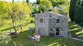 Toscana Immobiliare - Small Tuscan hamlet for sale in the province of Siena The property provides some outbuildings and a gorgeous park