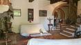 Toscana Immobiliare - Small Tuscan hamlet for sale in the province of Siena The property provides some outbuildings and a gorgeous park