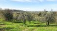 Toscana Immobiliare - Portion of ancient farmhouse with swimming pool in San Gimignano, Tuscany