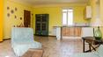Toscana Immobiliare - La propriété abrite une entreprise d'agritourisme avec chambres, restaurant, cours de cuisine, dégustation d'huile d'olive extra vierge et vente directe