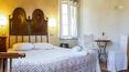 Toscana Immobiliare - La proprietà ospita un’attività agrituristica con camere, ristorante, corsi di cucina, degustazioni di olio extra vergine di oliva e vendita diretta