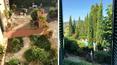 Toscana Immobiliare - The building is divided into two separate units, perfect for those seeking a corner of paradise in Tuscany