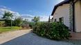Toscana Immobiliare -  Elegante location con 3 ettari di terreno, uliveto, tartufaia e ampi spazi interni in Toscana