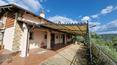 Toscana Immobiliare - Lieu élégant avec 3 hectares de terrain, oliveraie, réserve de truffes et intérieurs spacieux en Toscane