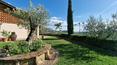Toscana Immobiliare - Site événementiel avec oliveraie et réserve de truffes près d'Arezzo, Toscane
