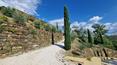 Toscana Immobiliare - Elegante Location mit 3 Hektar Land, Olivenhain, Trüffelreservat und großzügigen Innenräumen in der Toskana