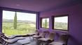 Toscana Immobiliare - Villas et fermes dans la province de Sienne