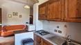 Toscana Immobiliare - Part of the property is used for agricultural activity, including a wine cellar